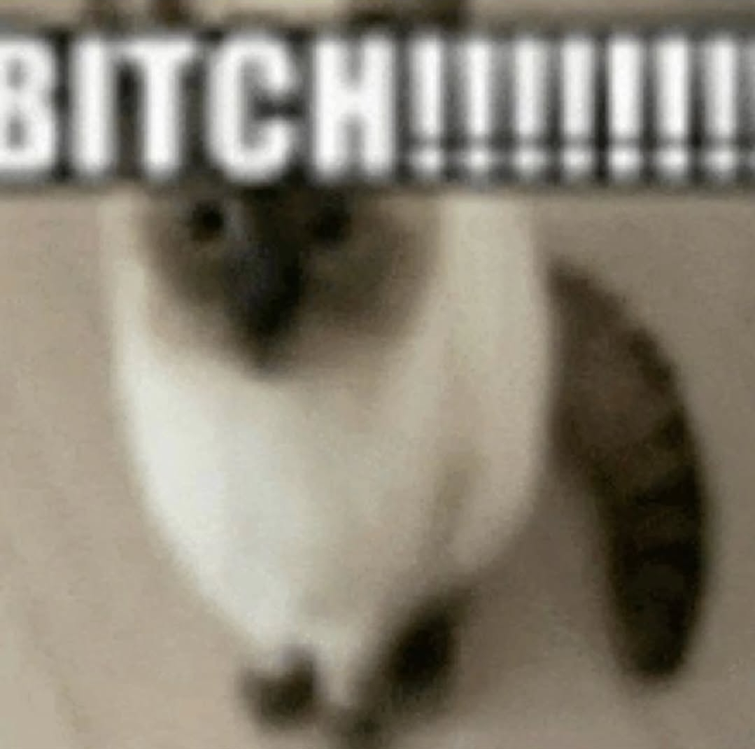 bitch .png